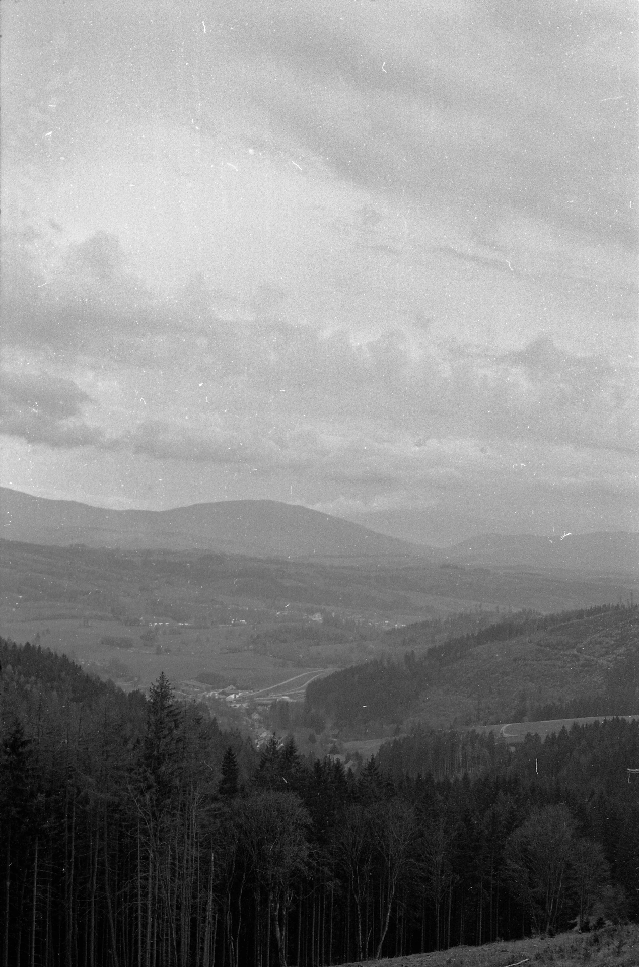 Experimental Analog 2025 - Portrait 2