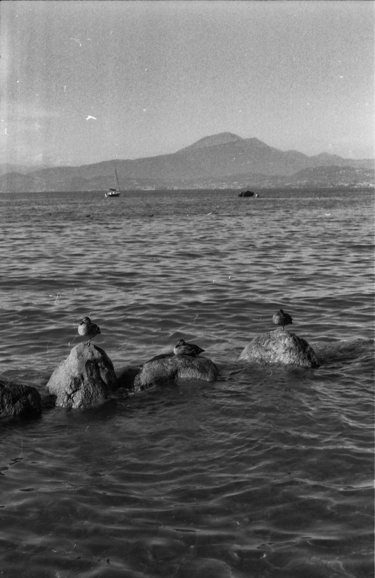 Experimental Analog 2025 - Portrait 11