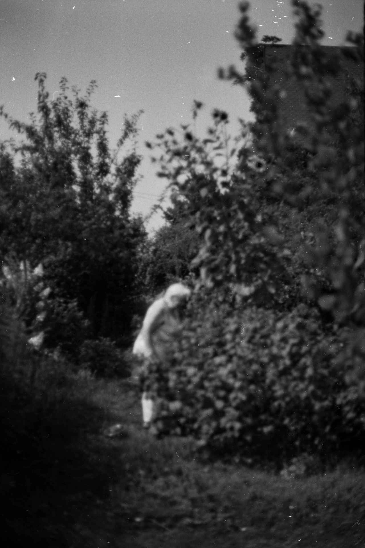 Experimental Analog 2025 - Portrait 19