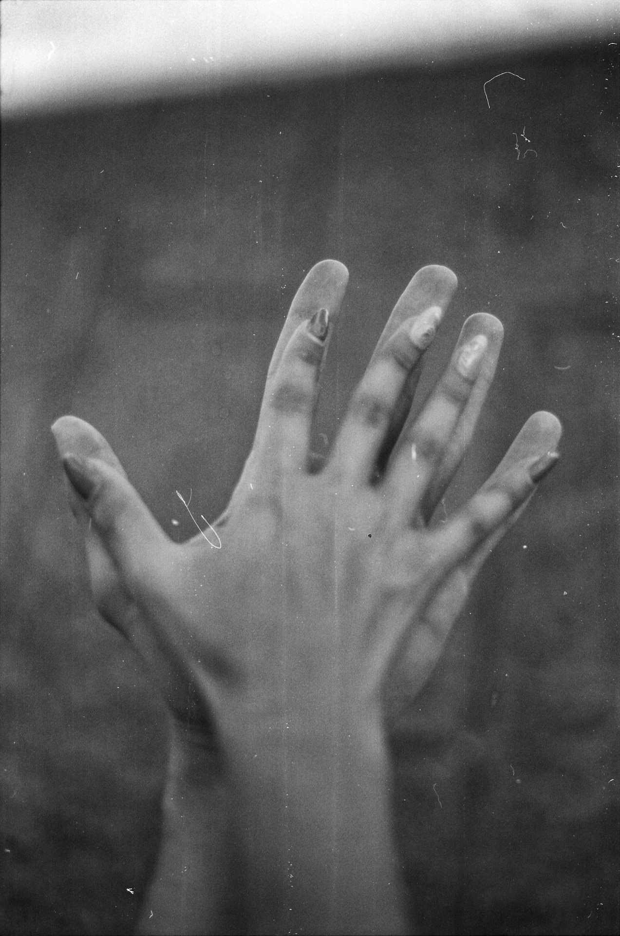 Experimental Analog 2025 - Portrait 20