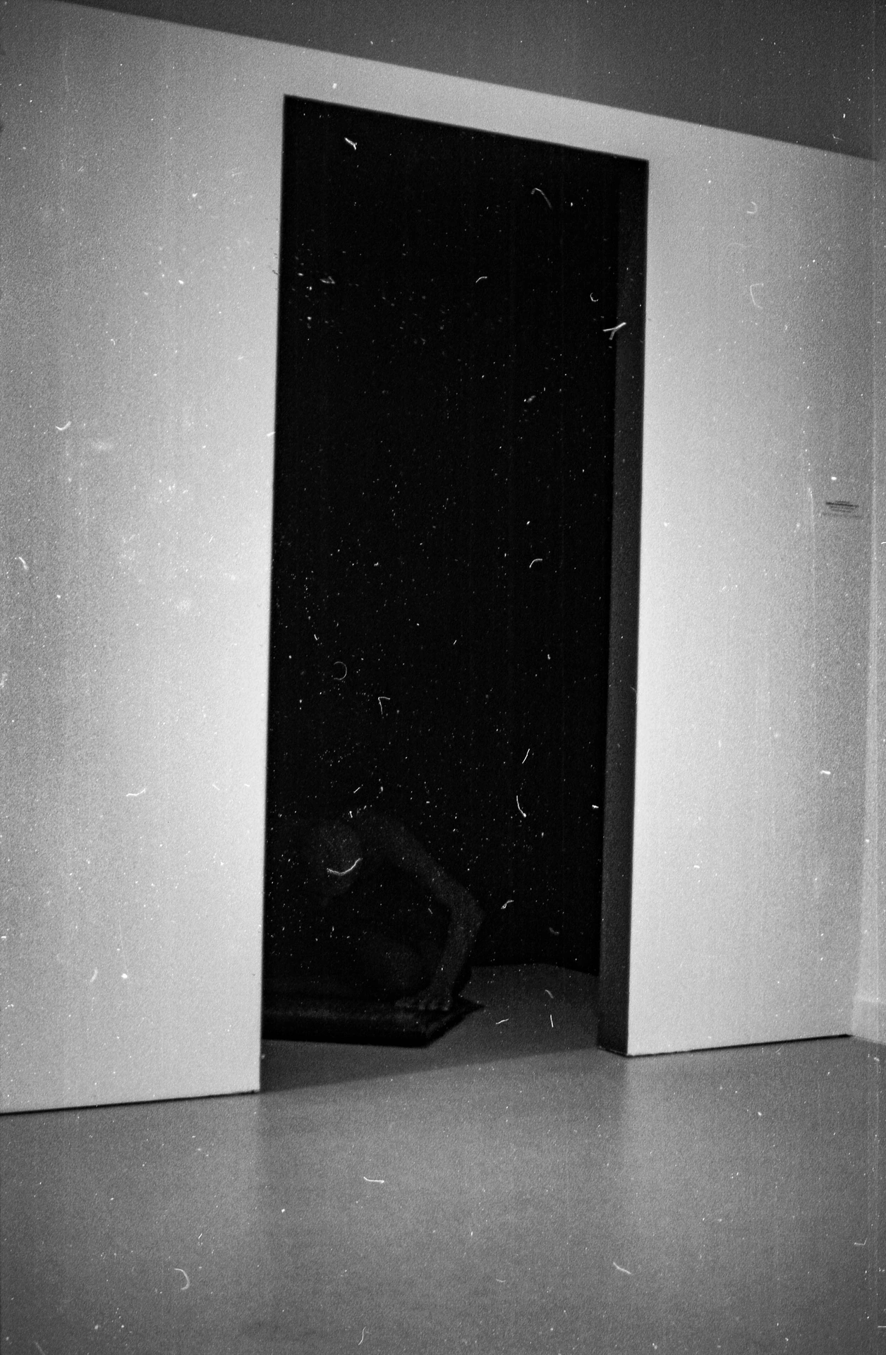 Experimental Analog 2025 - Portrait 24