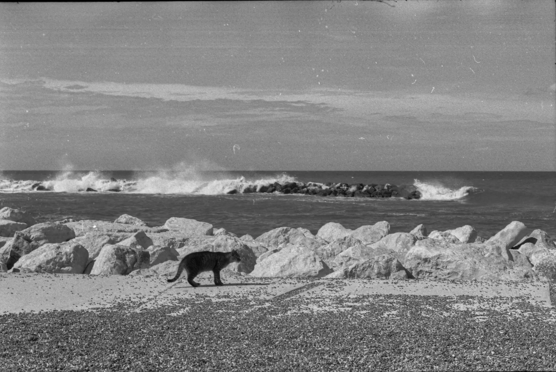 Italia_ambient Photo 7