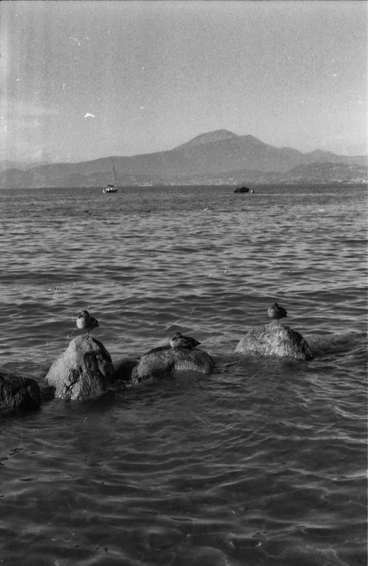 Italia_ambient Photo 11