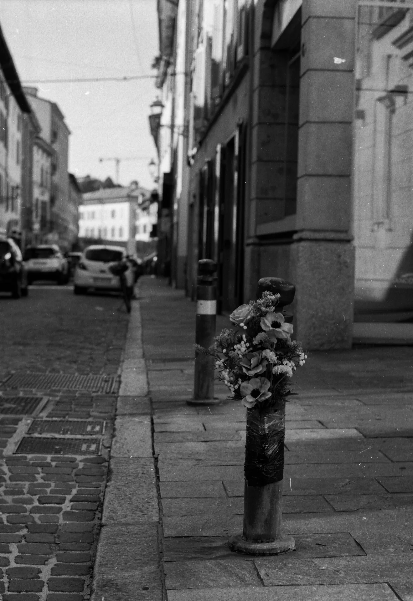 Italia_ambient Photo 17